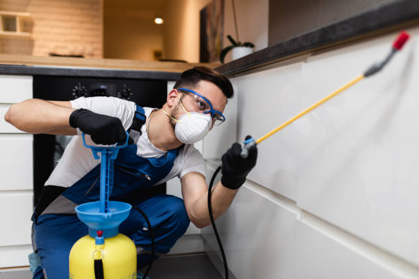 Flea Control Services in Colstrip, MT
