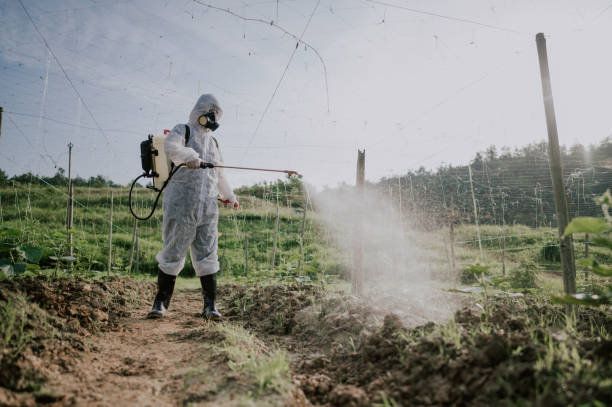 Best Mosquito Control Services  in Colstrip, MT