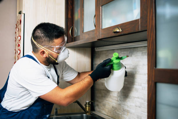 Best Affordable Pest Control Services  in Colstrip, MT