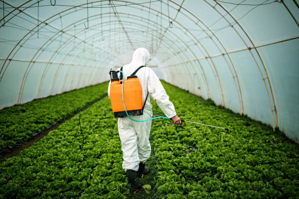 Best Local Pest Control Services  in Colstrip, MT