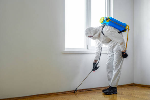 Best Best Pest Control Companies  in Colstrip, MT