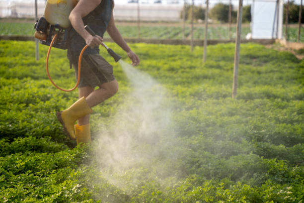 Best Best Pest Control Near Me  in Colstrip, MT