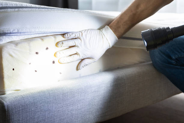 Best Residential Pest Control  in Colstrip, MT