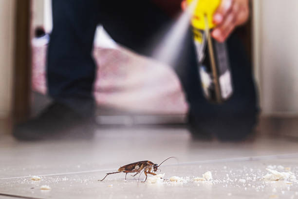Best Wildlife Control Services  in Colstrip, MT