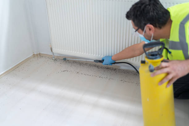 Pest Control Cost in Colstrip, MT