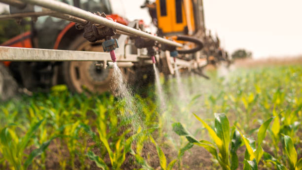 Best Pest Prevention Services  in Colstrip, MT